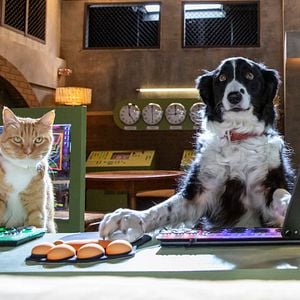 Foto Como perros y gatos: La patrulla unida