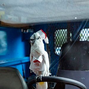 Foto Como perros y gatos: La patrulla unida