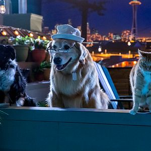 Foto Como perros y gatos: La patrulla unida