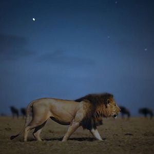 Foto Planeta nocturno: a todo color