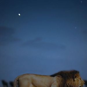 Foto Planeta nocturno: a todo color