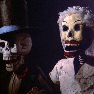 Foto Bajo el volcán