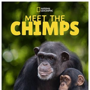 Foto Santuario de chimpancés