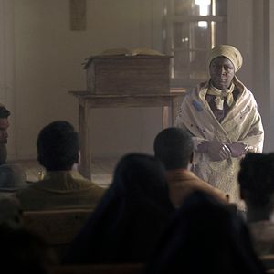 Foto El pájaro carpintero