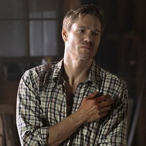 Foto Survive The Night