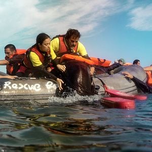 Foto Eduard Fernández