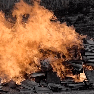 Foto Palabras para un fin del mundo