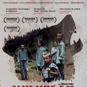 Foto Perros de presa