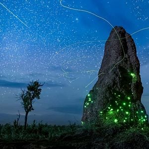 Foto Planeta nocturno: a todo color