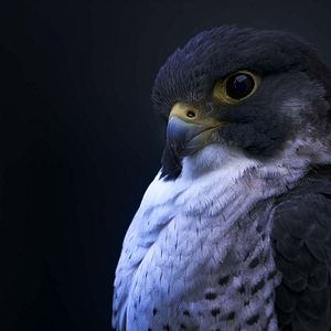 Foto Planeta nocturno: a todo color