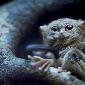 Foto Planeta nocturno: a todo color