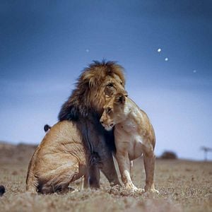 Foto Planeta nocturno: a todo color