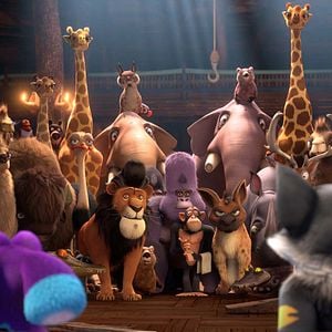 Foto ¡Upsss 2! ¿Y ahora dónde está Noé?