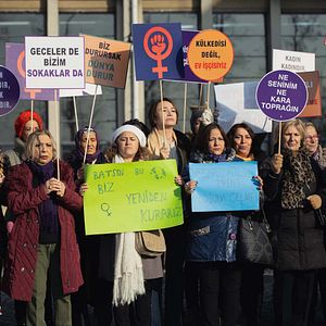 Foto Nueve vidas tiene Leyla