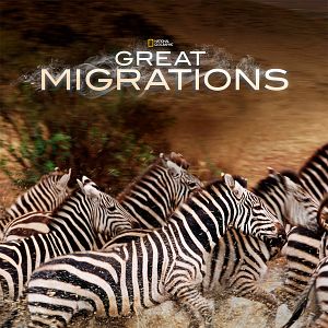 Foto Grandes migraciones