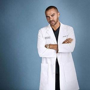 Foto Anatomía de Grey