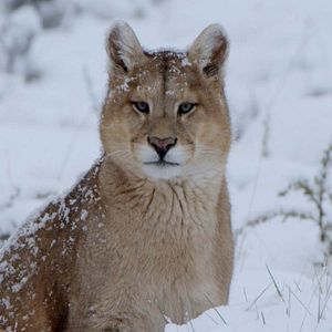 Foto Winter's Hidden Wonders