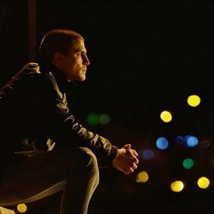 Foto Alacrán Enamorado