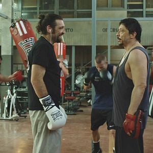 Foto Alacrán Enamorado