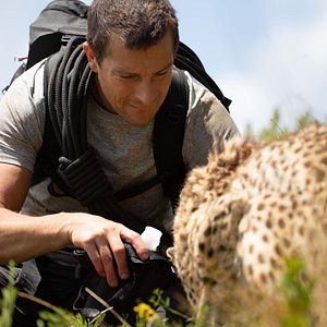 Foto Bear Grylls