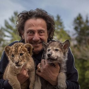 Foto El lobo y el león