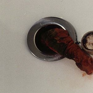 Foto Vinieron de dentro de...