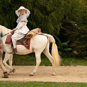Foto Black Narcissus