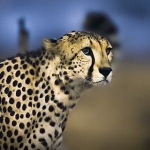 Foto Planeta nocturno: a todo color