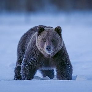 Foto Planeta nocturno: a todo color