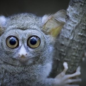 Foto Planeta nocturno: a todo color