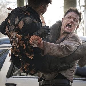 Foto SAS: El ascenso del cisne negro