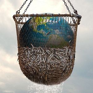 Foto Seaspiracy: La pesca insostenible