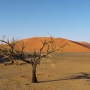Foto Emociones de la Tierra