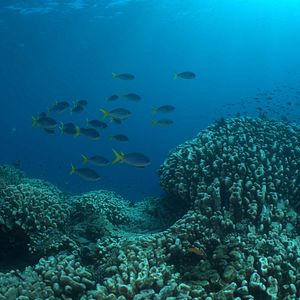 Foto Emociones de la Tierra
