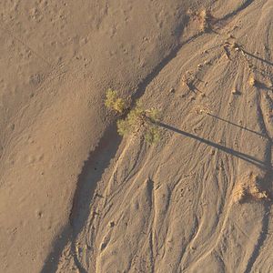 Foto Emociones de la Tierra
