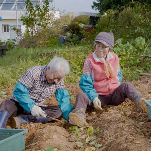 Foto Mi amor: Seis grandes historias de amor