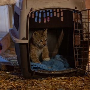 Foto Héroes de Alaska