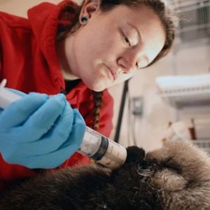 Foto Héroes de Alaska