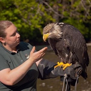 Foto Héroes de Alaska