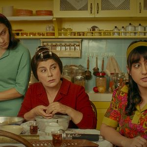 Foto ¿Has visto luciérnagas alguna vez?