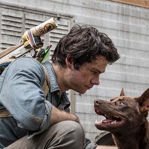 Foto De amor y monstruos