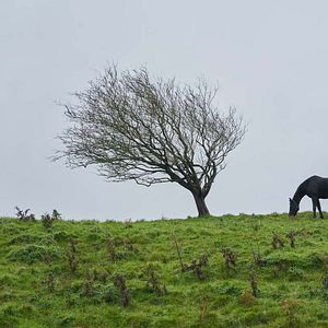 Foto Una canción irlandesa