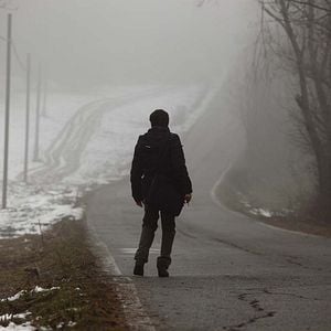 Foto L'Ape e il vento