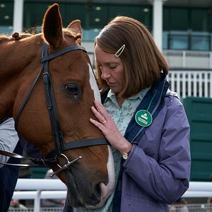Foto Caballo soñador
