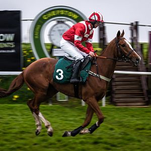 Foto Caballo soñador