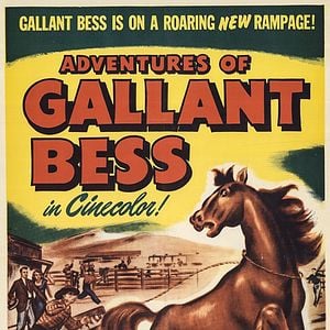 Foto Las aventuras de la valiente Bess