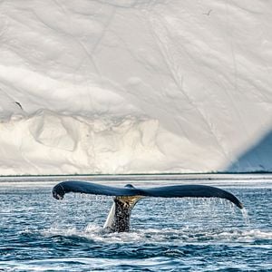 Foto Los límites de nuestro planeta: Una mirada científica