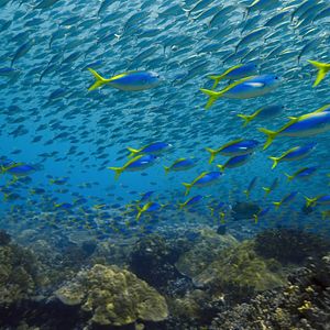 Foto Los límites de nuestro planeta: Una mirada científica