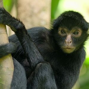 Foto Los límites de nuestro planeta: Una mirada científica