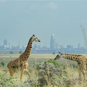 Foto Los límites de nuestro planeta: Una mirada científica